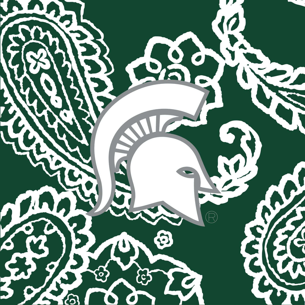 Collegiate Plush XL Throw Blanket in Michigan State University