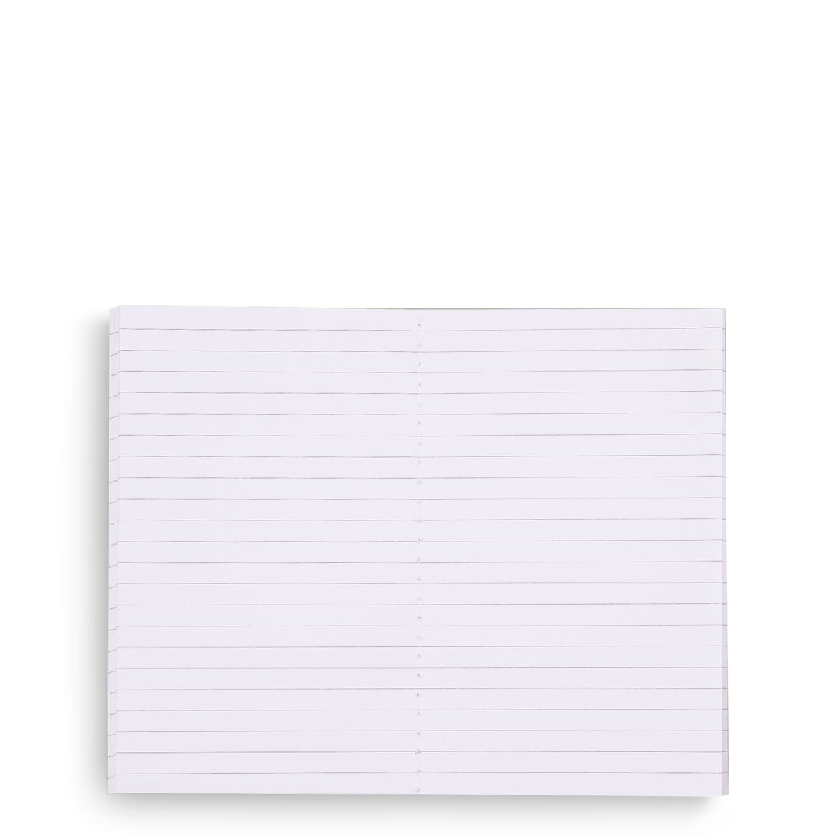Mini Notebook Set of 2 in Beary Festive