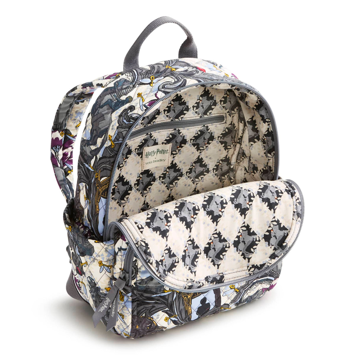 Harry Potter Small Banbury Backpack in Challenges