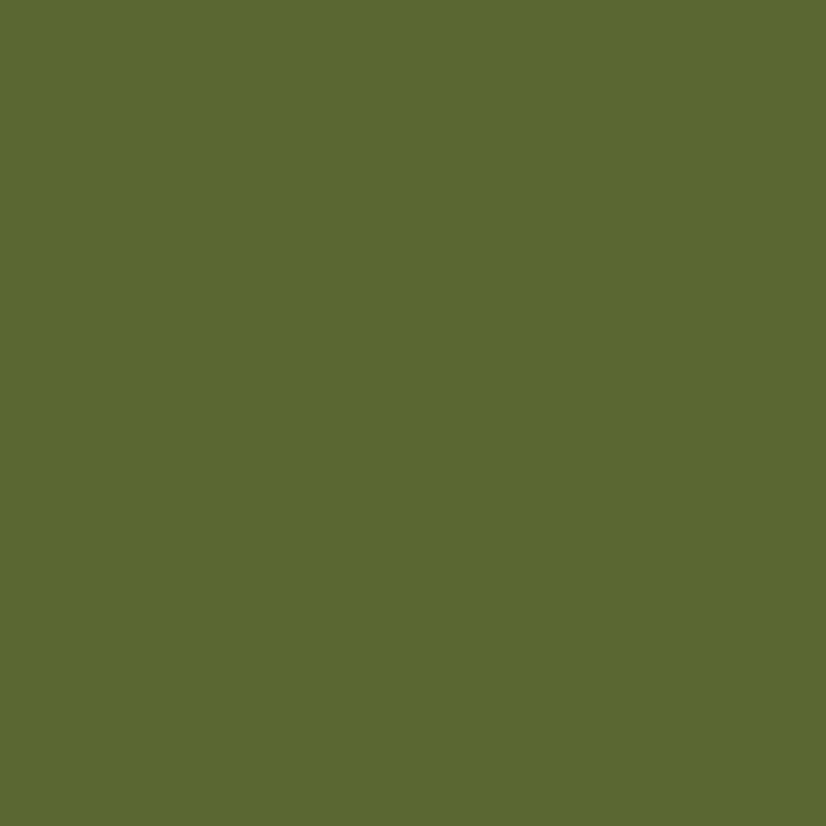 Poni Blue Light Reader Glasses in Cedar Green