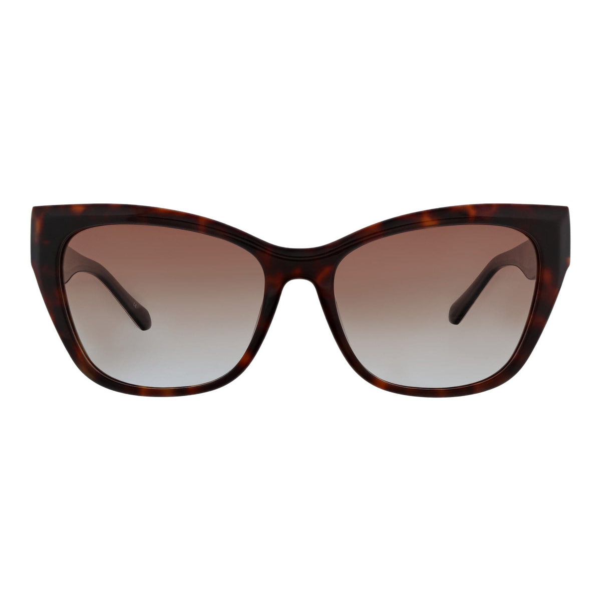 Charley Polarized Sunglasses in Garden Paisley