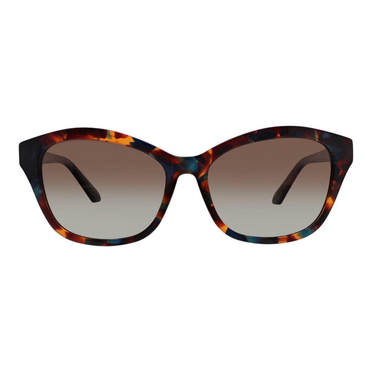 Dall Polarized Sunglasses in Brown Blue Tortoise