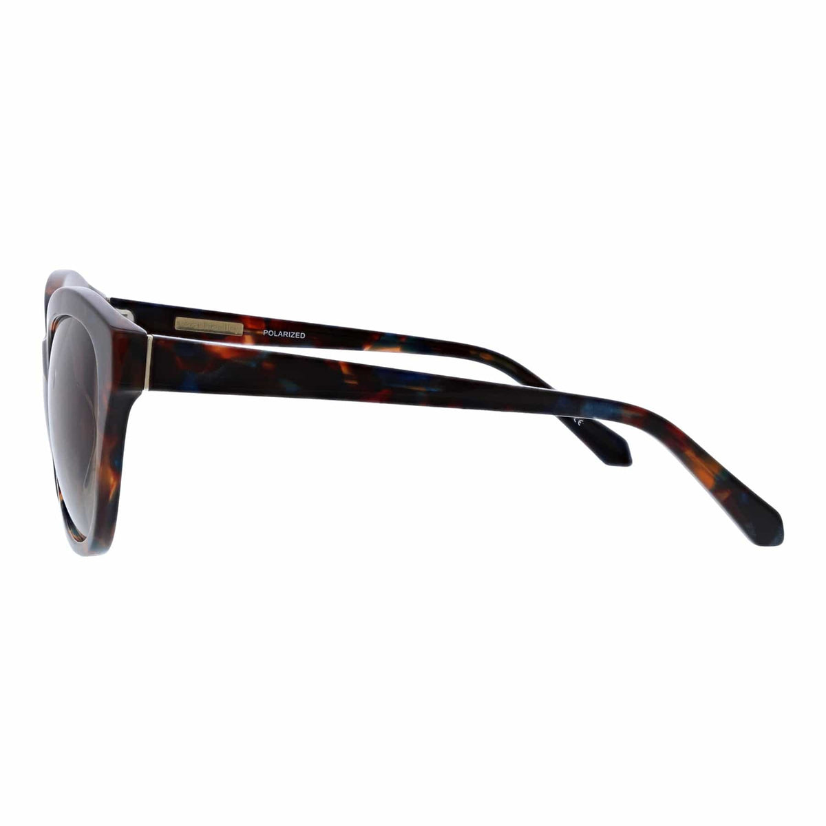 Dall Polarized Sunglasses in Brown Blue Tortoise