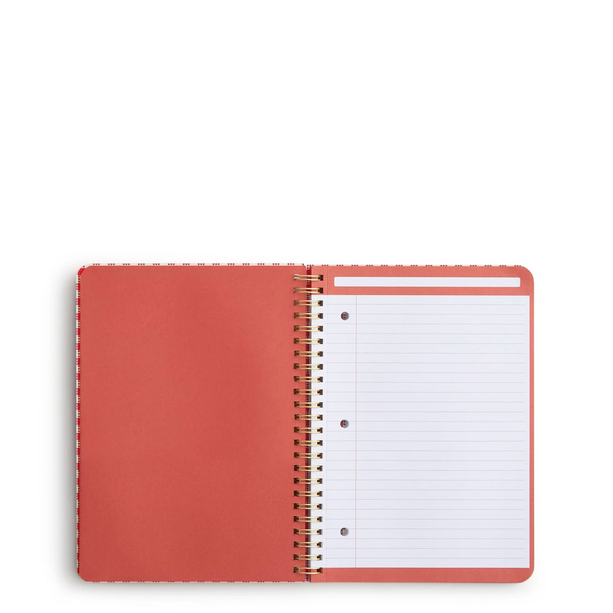 Small Spiral Notebook with Pockets in Beary Ditsy
