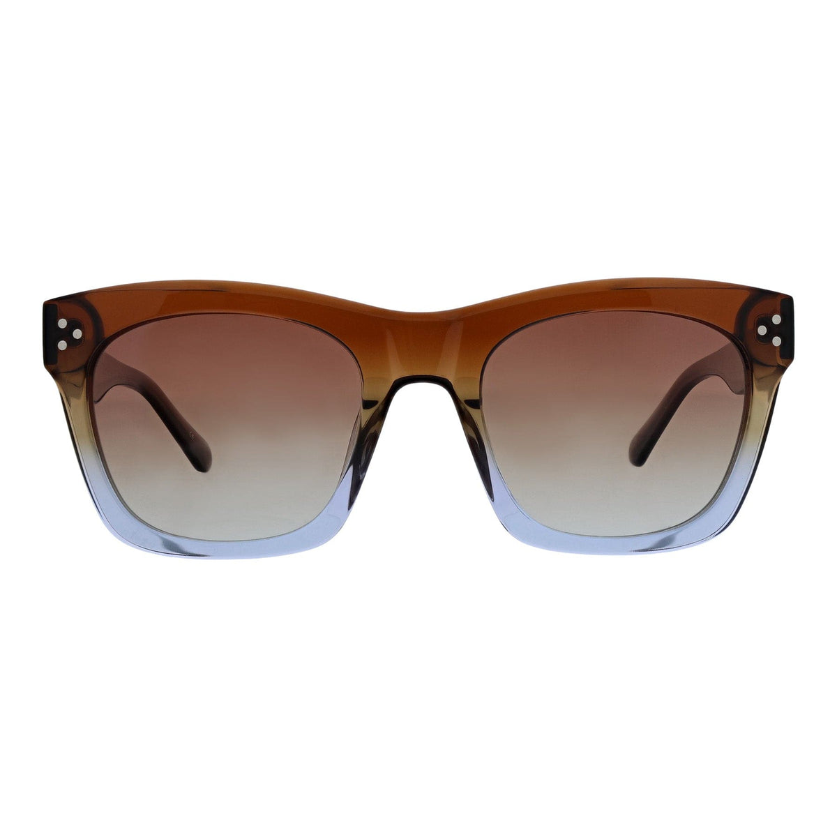 Bryce Polarized Sunglasses in Tortoise Arona
